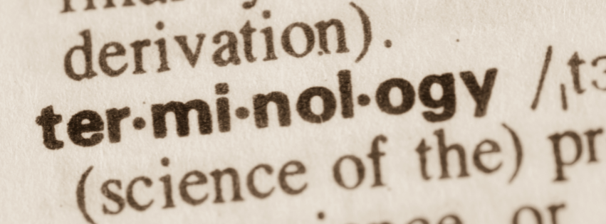 Close-up of the word 'terminology' from a dictionary, highlighting entrepreneurship terms for beginners.